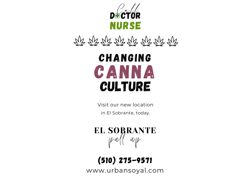 urban soyal (2) urban soyal (2)